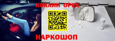 индика Дубна