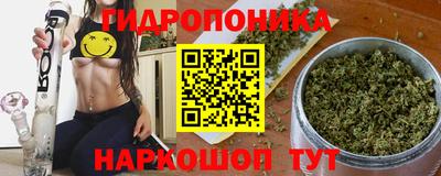 индика Дубна