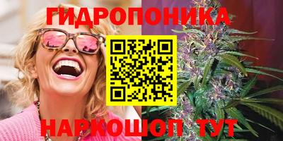 индика Дубна