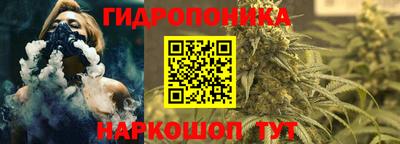 индика Дубна