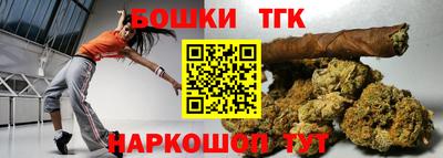 индика Дубна