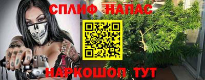 индика Дубна