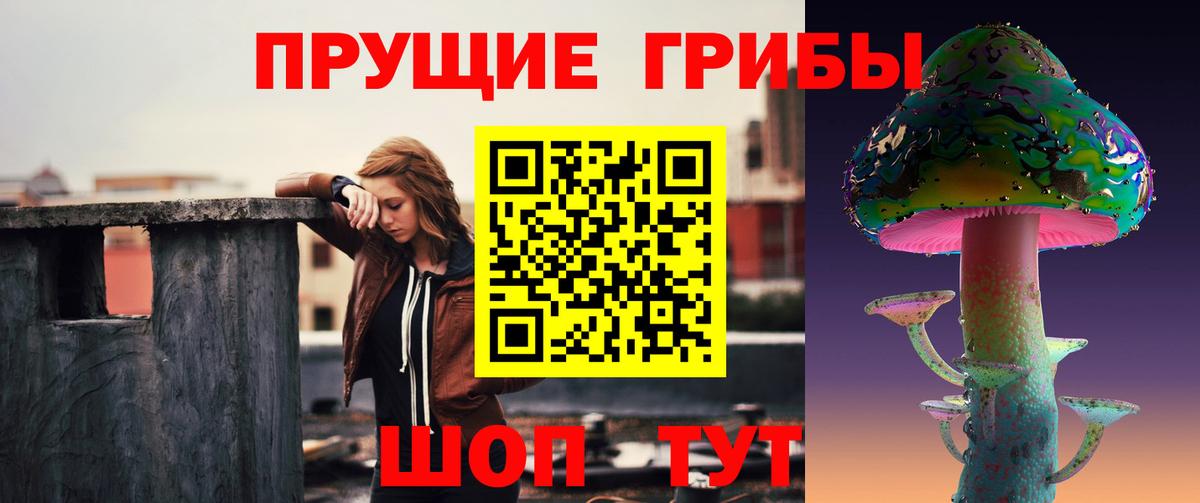 Псилоцибиновые грибы прущие грибы Партизанск