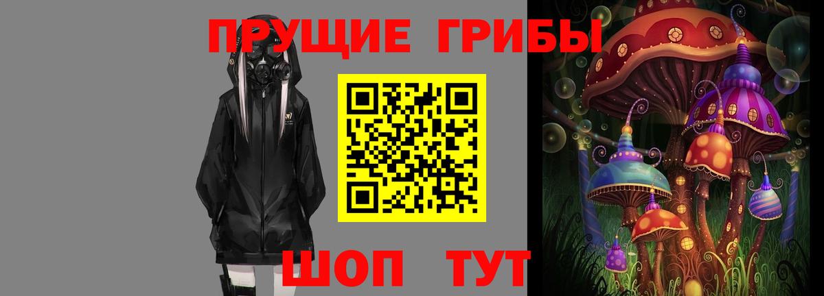 дарнет шоп  Вход с VPN  Партизанск  Псилоцибиновые грибы мухоморы 